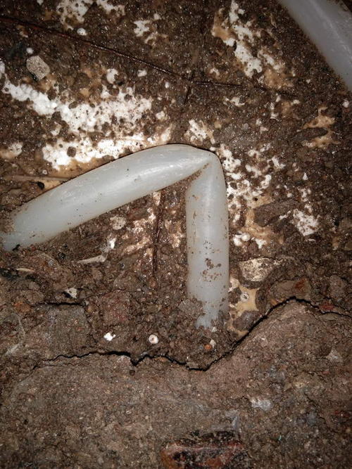 栖霞堵点精准查找